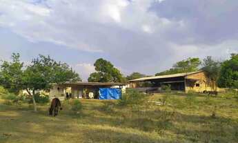Imagem 4: Sítio à Venda, Floresta Escura, São Pedro, SP