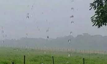 Imagem 4: Sitio em santa cruz da esperança 10.4 hectares 2.500.000.00 ( d