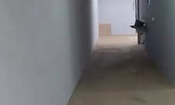 Imagem 3: Vende-se Casa Jardim Petrópolis VG (região Chapeu do Sol