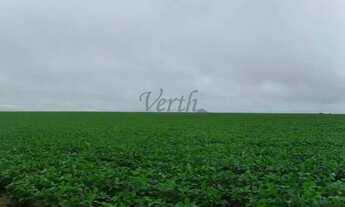 Imagem: Fazenda à Venda 472 Hectares Unaí - MG