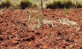 Imagem 3: Chácara em Varjão