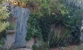 Imagem 4: Terreno em Porto do Sauipe, Loteamento Iemanjá medindo 8 x 16 metros