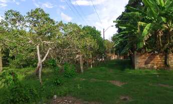 Imagem 5: Vendo ou troco este Terreno com área verde ação