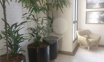 Imagem 7: Apartamento com 3 quartos à venda em Goiabeira - MT