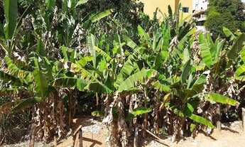 Imagem 2: Lote Residencial de 800 m² em Ponte Nova (Bairro Palmeiras) Venda R$ 250.000