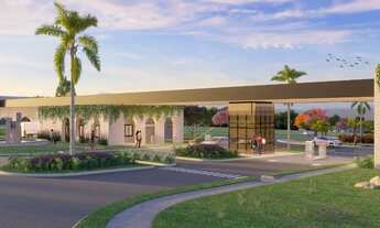 Imagem: Vinhas Parque Évora