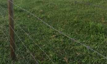 Imagem 3: Sitio 20.500 2 Hectares (Lindo) R$850.000,00