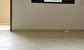 Imagem: Imóvel para aluguel tem 65 metros quadrados