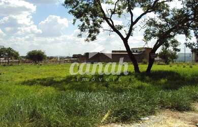 Imagem 6: Terreno Comercial/Área Incorporação -Vila Carvalho -Ribeirão