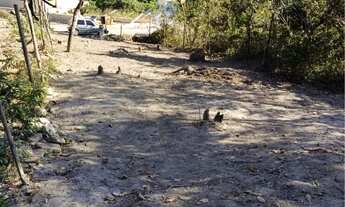 Imagem 5: Lote marmeleiro Terreno / lote com venda por R$70.000