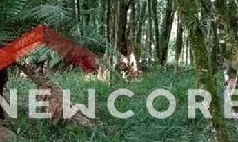 Imagem 3: Lote em condomínio em ERS 466 - Bosque sinoserra - Canela/RS