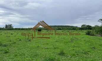 Imagem 2: Sitio com 14 alqueires na região de Porangaba/SP