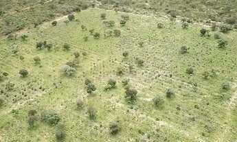 Imagem: FAZENDA À VENDA 37,5 HECTARES MAMBAÍ/GO
