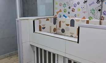 Imagem 6: Passo Ponto loja Vila da Penha