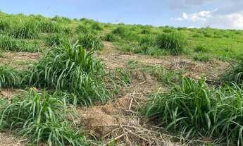 Imagem 5: Terreno à venda em Campinas, Alphaville Dom Pedro, com 412 m², Alphaville Dom Pedro 0