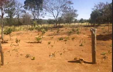 Imagem 2: Lote a venda no Sarandi próximo Emprapa, Planaltina DF