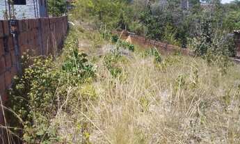 Imagem 4: VD / TR Terreno 27x8 São Cristóvão Próximo ao Fórum