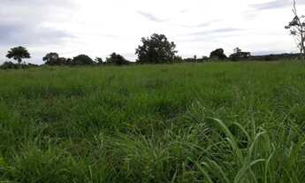 Imagem 7: 248 Alqs Pra Gado Boa Água Logística e Terra Entrada + Uma Centenário TO