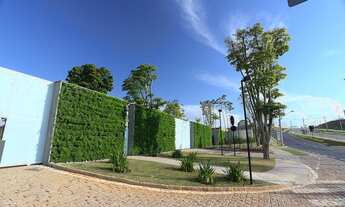 Imagem 5: Imperdível ! Terreno no Pedra Alta - Cps, condições especiais, compre agora pague em 2023