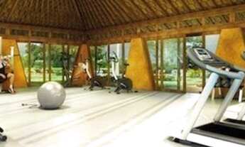 Imagem 2: Ilha dos Passaros lote