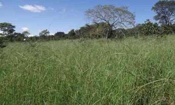 Imagem 6: Chácara 1.00m² para morar ou investir , Jaboticatubas (Temos varias opções)