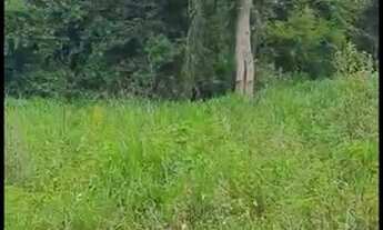 Imagem 6: Sítio 7 Alqueires Cultura em Água Limpa Goiás