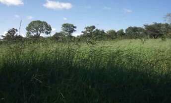 Imagem 2: Chácara 1.00m² para morar ou investir , Jaboticatubas (Temos varias opções)