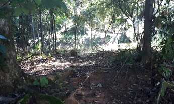 Imagem 5: Terreno - Joaquim Egídio - Campinas