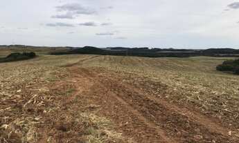 Imagem 2: 180 hectares com 115 de lavoura