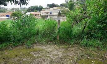 Imagem: Excelente Terreno no Bairro Roma