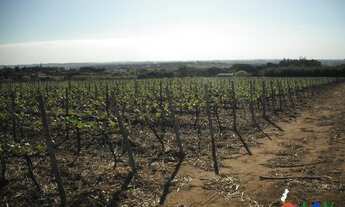 Imagem 4: Indaiatuba Terreno / lote com venda por R$50.000.000