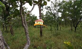 Imagem 5: Fazenda para Venda em Centenário