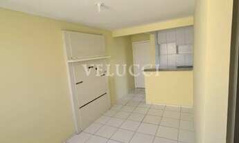 Imagem 3: Apartamento - Jardim Nova Europa - Campinas