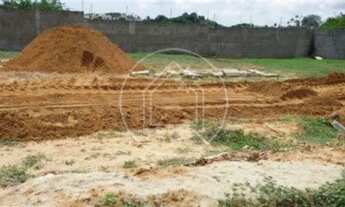 Imagem 5: PARNAMIRIM - Terreno Padrão - Nova Parnamirim