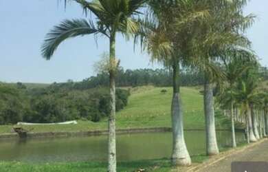 Imagem 2: Fazenda em Ibaiti PR - Campos Gerais