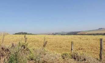 Imagem 5: Fazenda - 130.000 m² - Taquarituba - São Paulo/SP