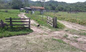 Imagem 3: Fazenda Região Serra São Vicente - MT