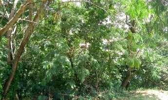 Imagem 3: Lote/Terreno com 535m² em Jardim Botânico (Sousas) - Campinas - SP - Condomínio Fechado Al