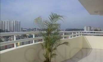 Imagem 4: SãO BERNARDO DO CAMPO - Padrão - Vila Euclides