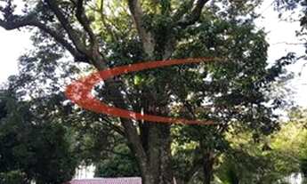 Imagem 3: BAURU LINDA CHACARA REUNIDOS SANTA MARIA 1ALQUIERE