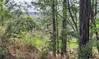 Imagem 3: QUE TAL MORAR EM UM CONDOMÍNIO RURAL COM LAGO À 15 MINUTOS DE CAMPINAS