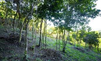 Imagem 4: Amplo Terreno Localizado na Praia do Siriú, em Garopaba, com Linda Vista p/ Mar