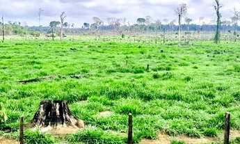 Imagem 2: VENDO EXCELENTE SITIO