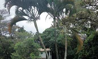Imagem 4: Sitio 10.000 m2 em Ribeirão das Neves/Contagem/MG