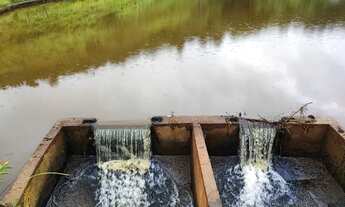 Imagem: Lote/Terreno para venda possui 600 metros