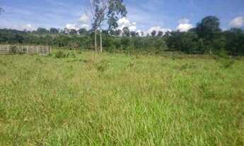 Imagem 3: Chácara 1.800m² 100% plana, toda terra de plantio, Jaboticatubas (Temos varias opções)