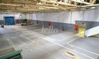 Imagem 3: São Paulo - Galpão/Depósito/Armazém - Santa Cecília