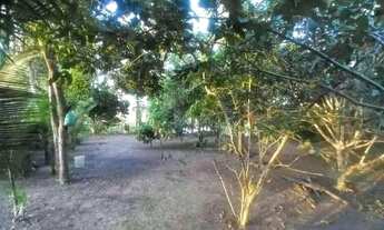 Imagem 3: MINI SÍTIO URBANO