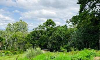 Imagem 3: Chácara em Sapiranga com 3 hectares