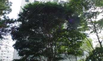 Imagem 4: APARTAMENTO - INDIANÓPOLIS - SP